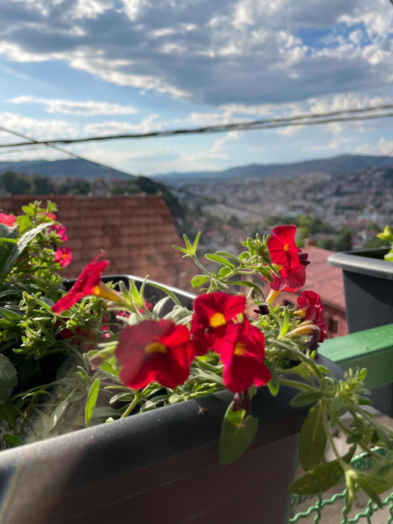 Sarajevo Cozy Attic Leilighet Eksteriør bilde